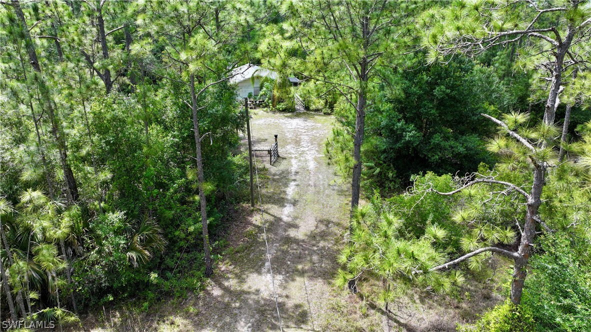 720 E Road LaBelle, FL 33935 - Photo 15 of 40 a picture of trees