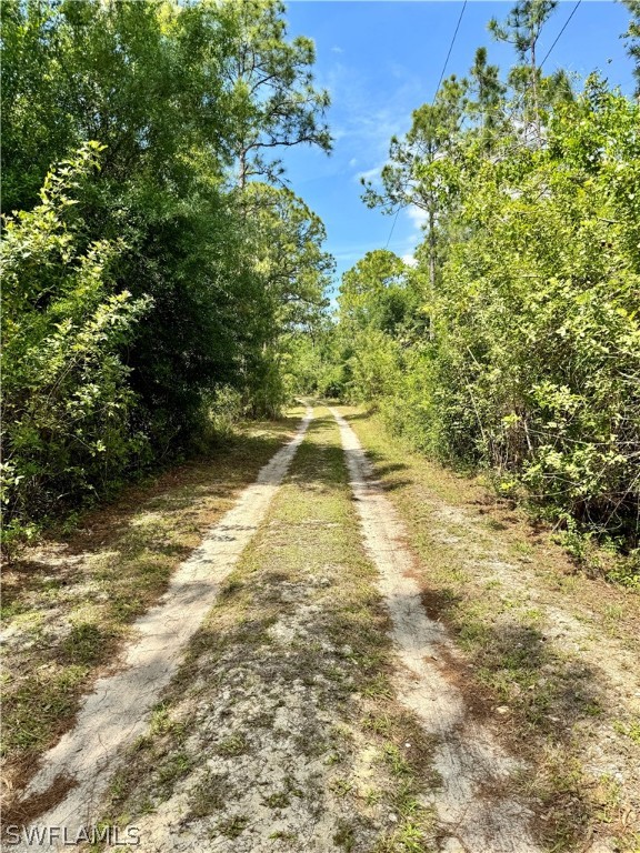 720 E Road LaBelle, FL 33935 - Photo 16 of 40 a view of a yard