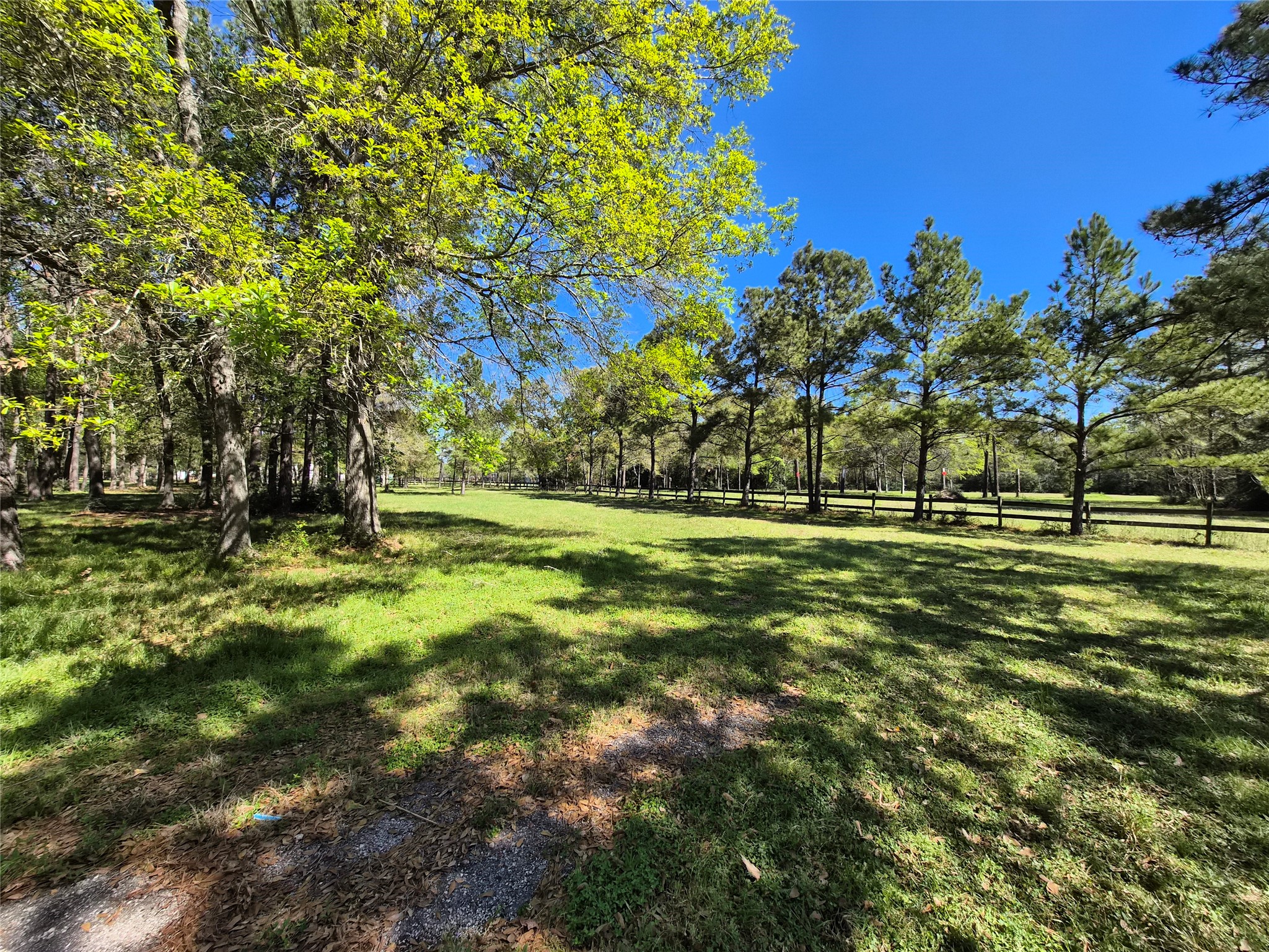 4610 Sloangate Drive Spring, TX 77373 - Photo 22 of 48