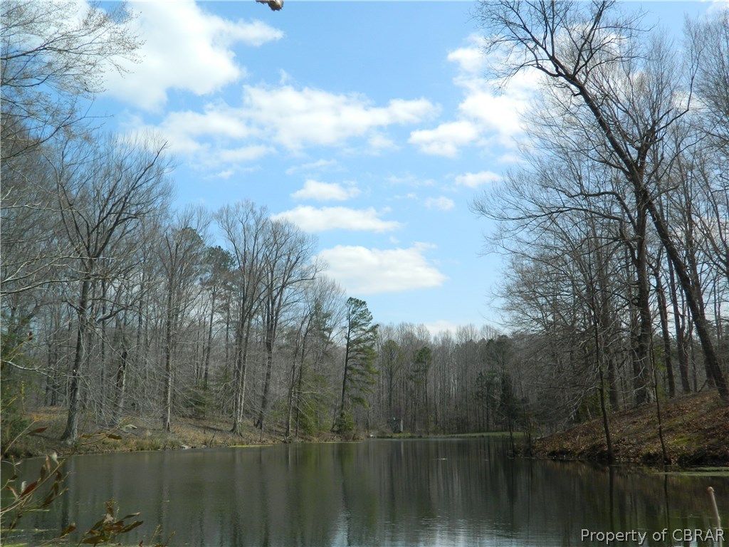 Lot 12 Lee's Neck Farm Road Saluda, VA 23149 - Photo 3 of 3