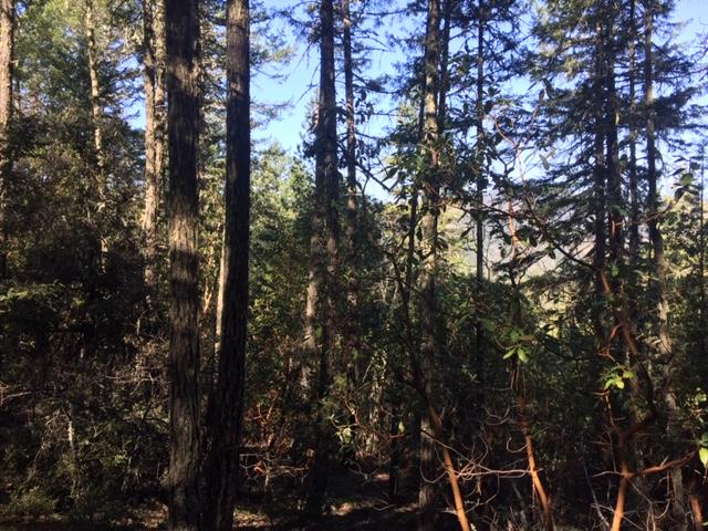 Thompson Creek Road Jacksonville, OR 97530 - Photo 10 of 19 Gallery Image 10