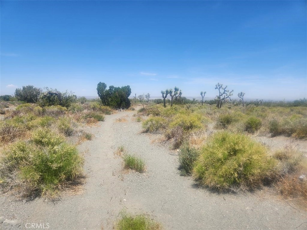 0 Minero Road Phelan, CA 92371 - Photo 6 of 8 a view of a lake with a mountain in the background