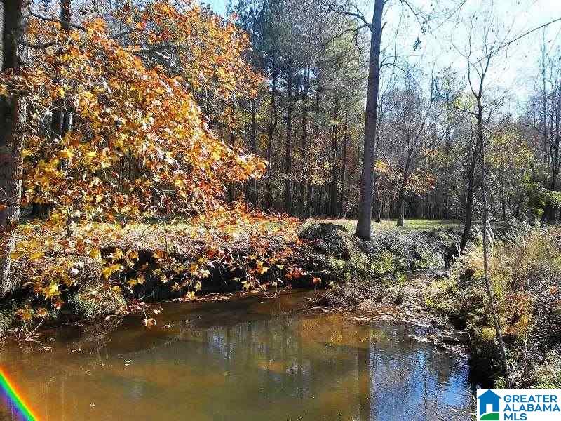 1850 Chapman Road Goodwater, AL 35072 - Photo 22 of 29