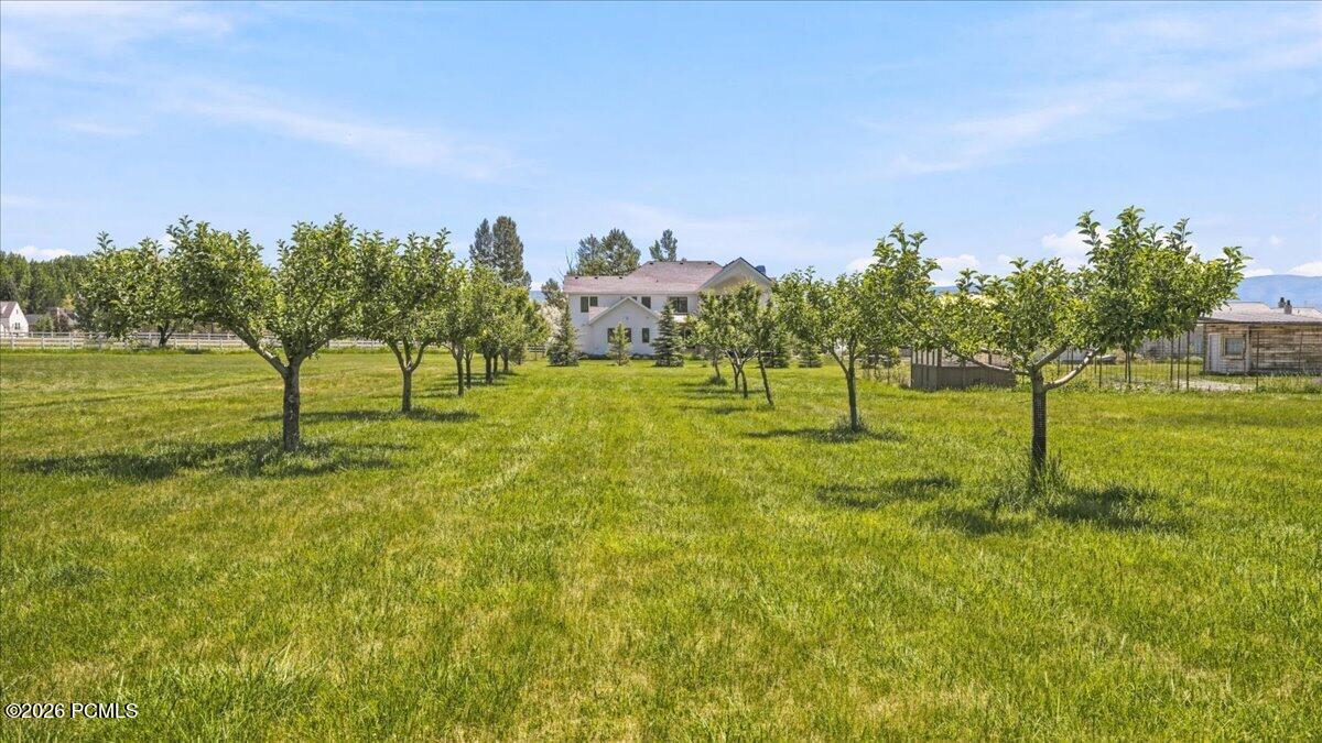 538 Pine Canyon Road Midway, UT 84049 - Photo 24 of 34