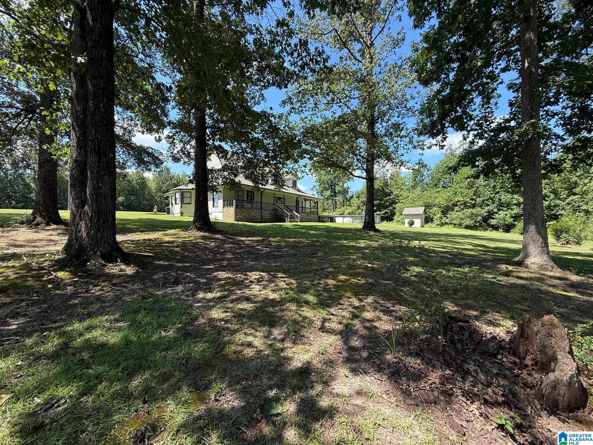 1050 Morris Road Pell City, AL 35128 - Photo 3 of 72 Gallery Image 3