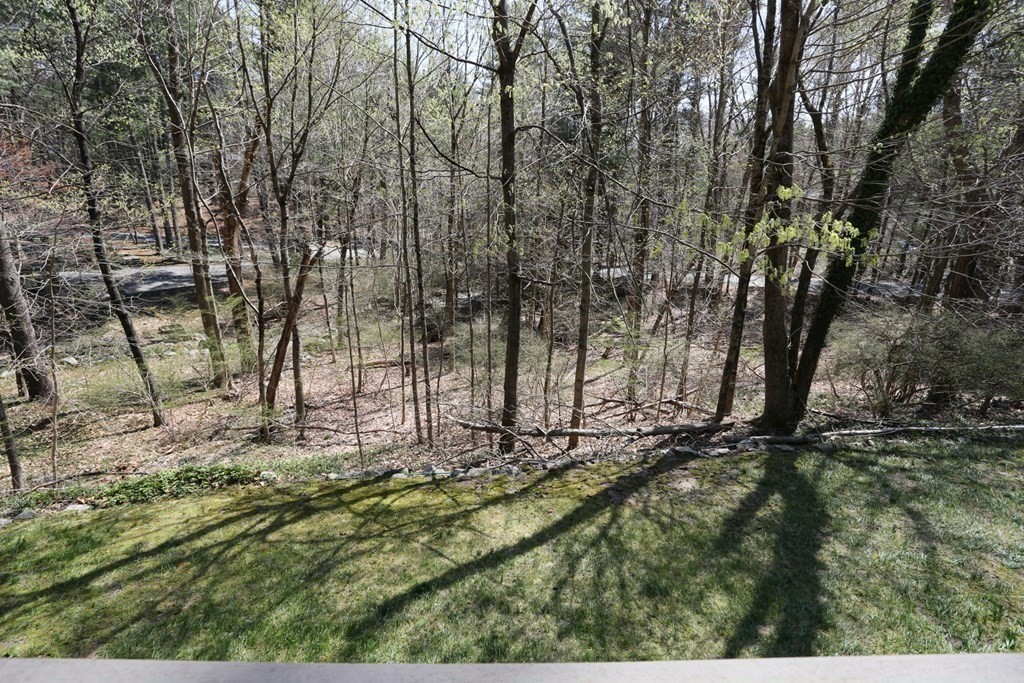10 Country Corners Road Wayland, MA 01778 - Photo 32 of 32 a view of backyard with tree