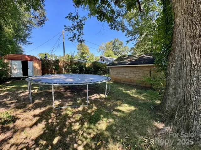a view of a backyard with plants