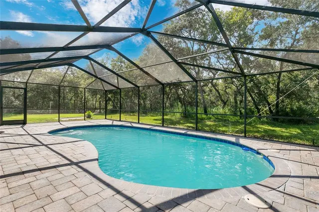 a view of swimming pool with seating area and trees in the background