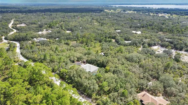 a view of a bunch of trees and bushes