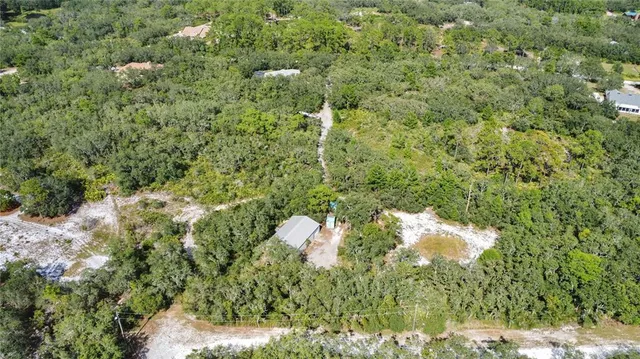 a close up of a tree in a yard