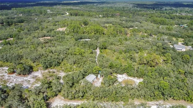 a view of a lush green forest