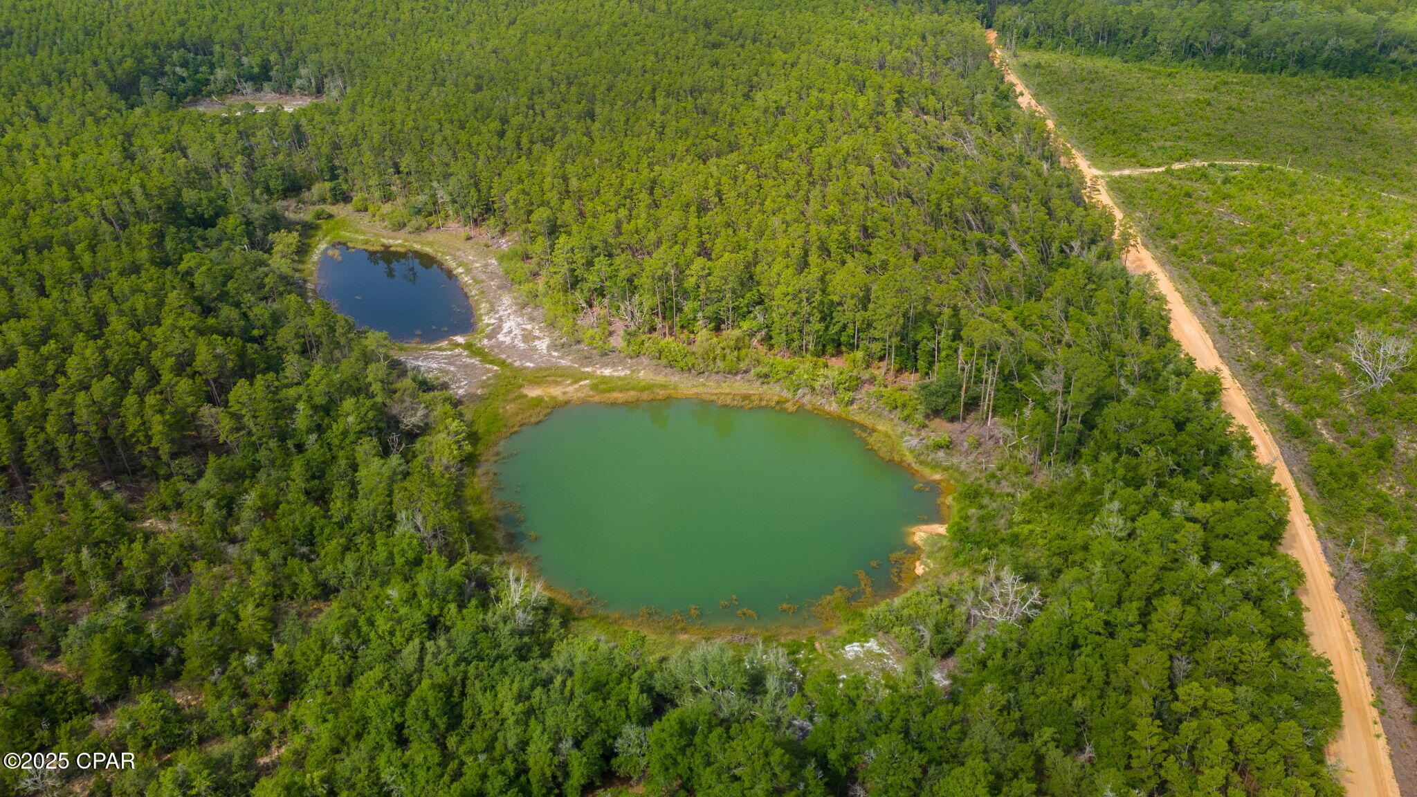 1371 Deadening Road Chipley, FL 32428 - Photo 17 of 78