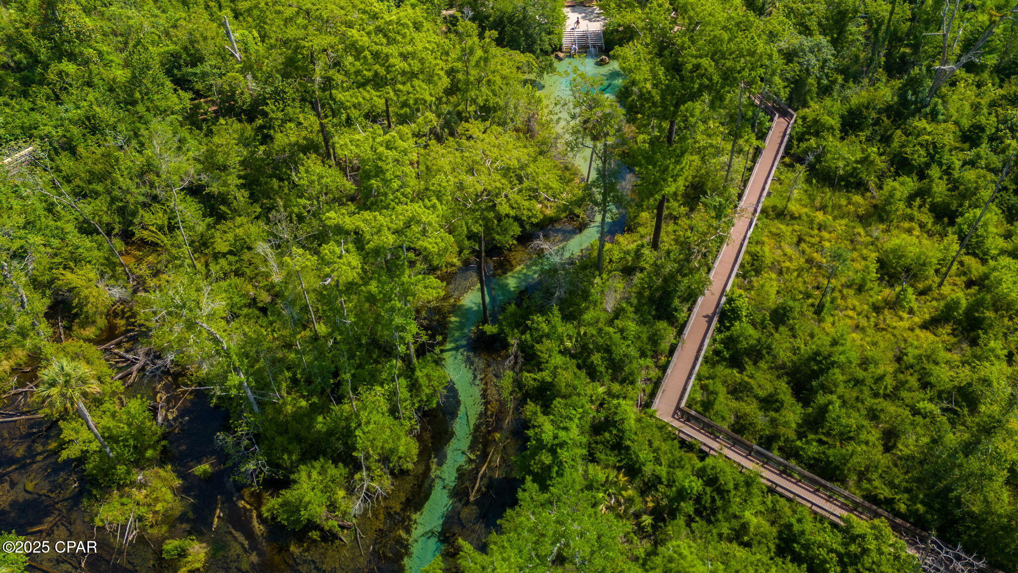 1371 Deadening Road Chipley, FL 32428 - Photo 21 of 78