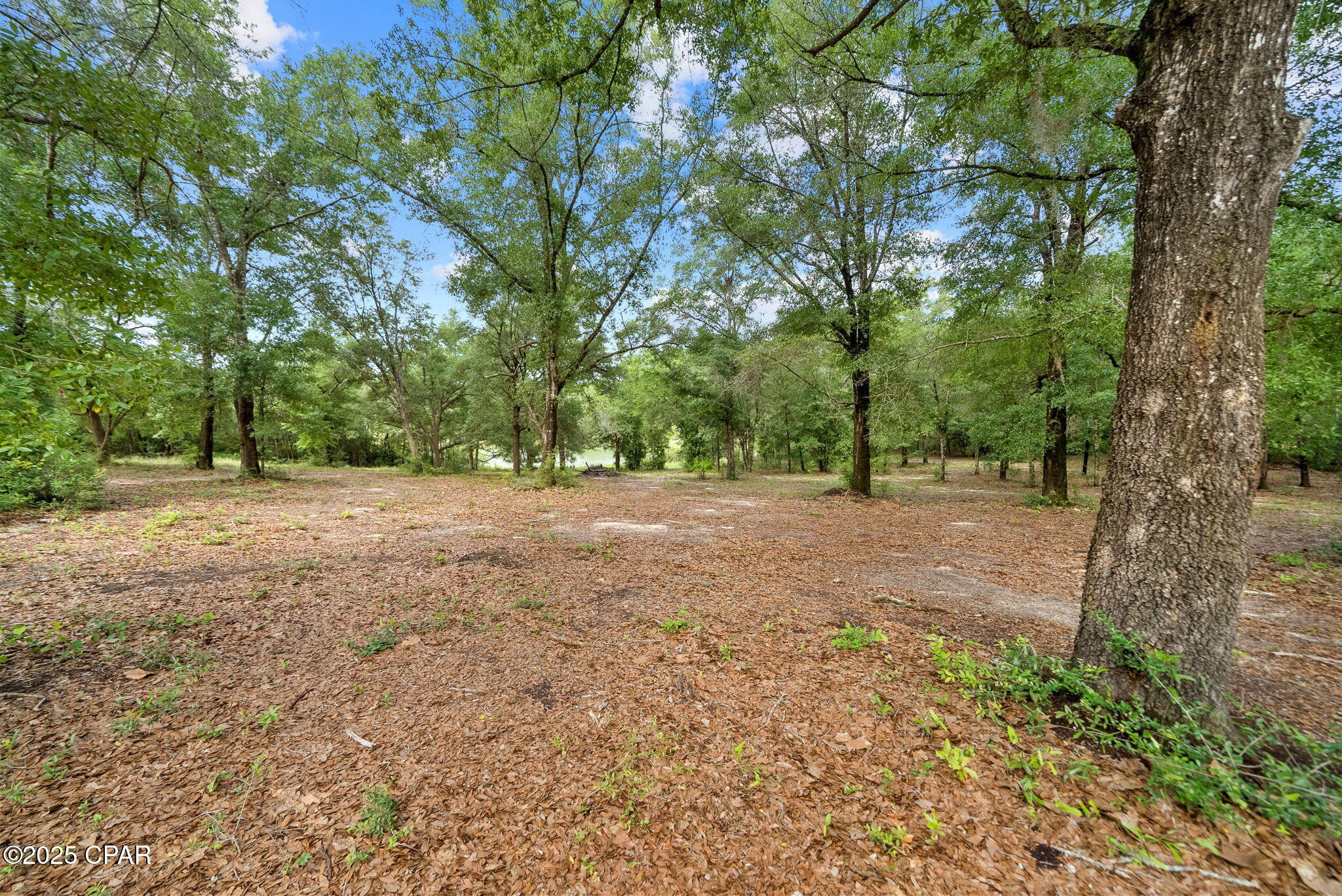 1371 Deadening Road Chipley, FL 32428 - Photo 5 of 78