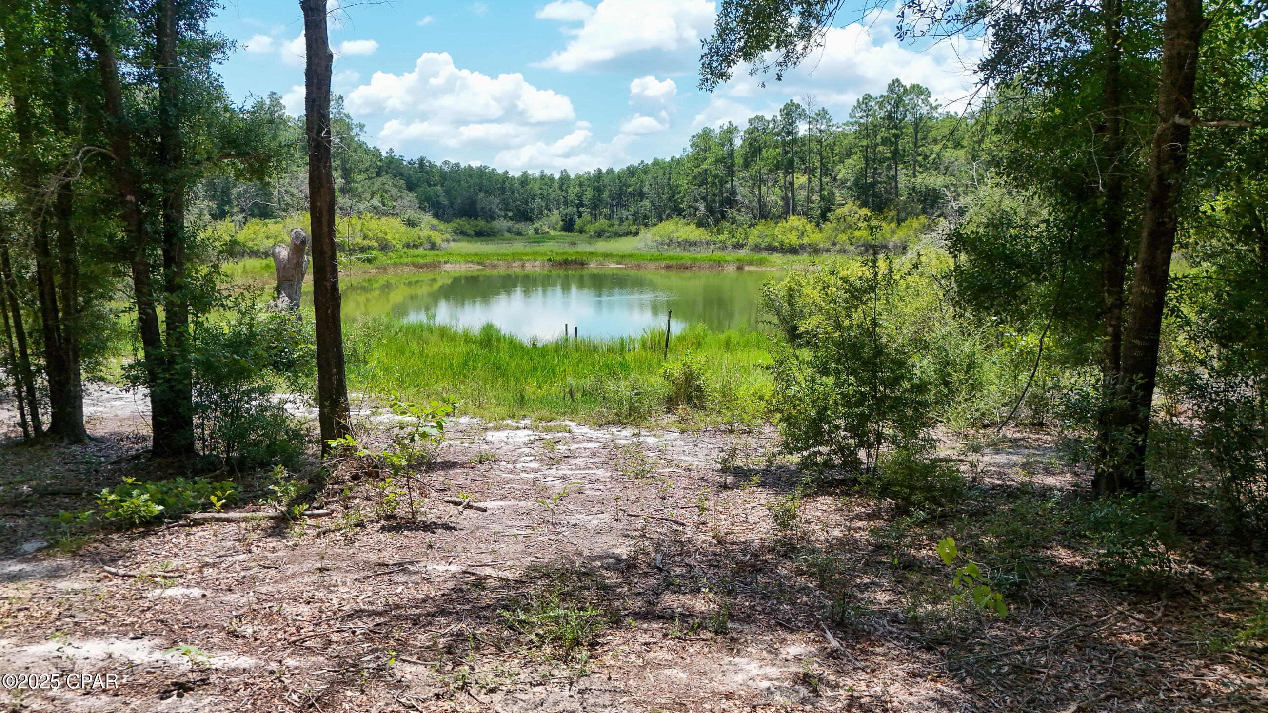 1371 Deadening Road Chipley, FL 32428 - Photo 52 of 78