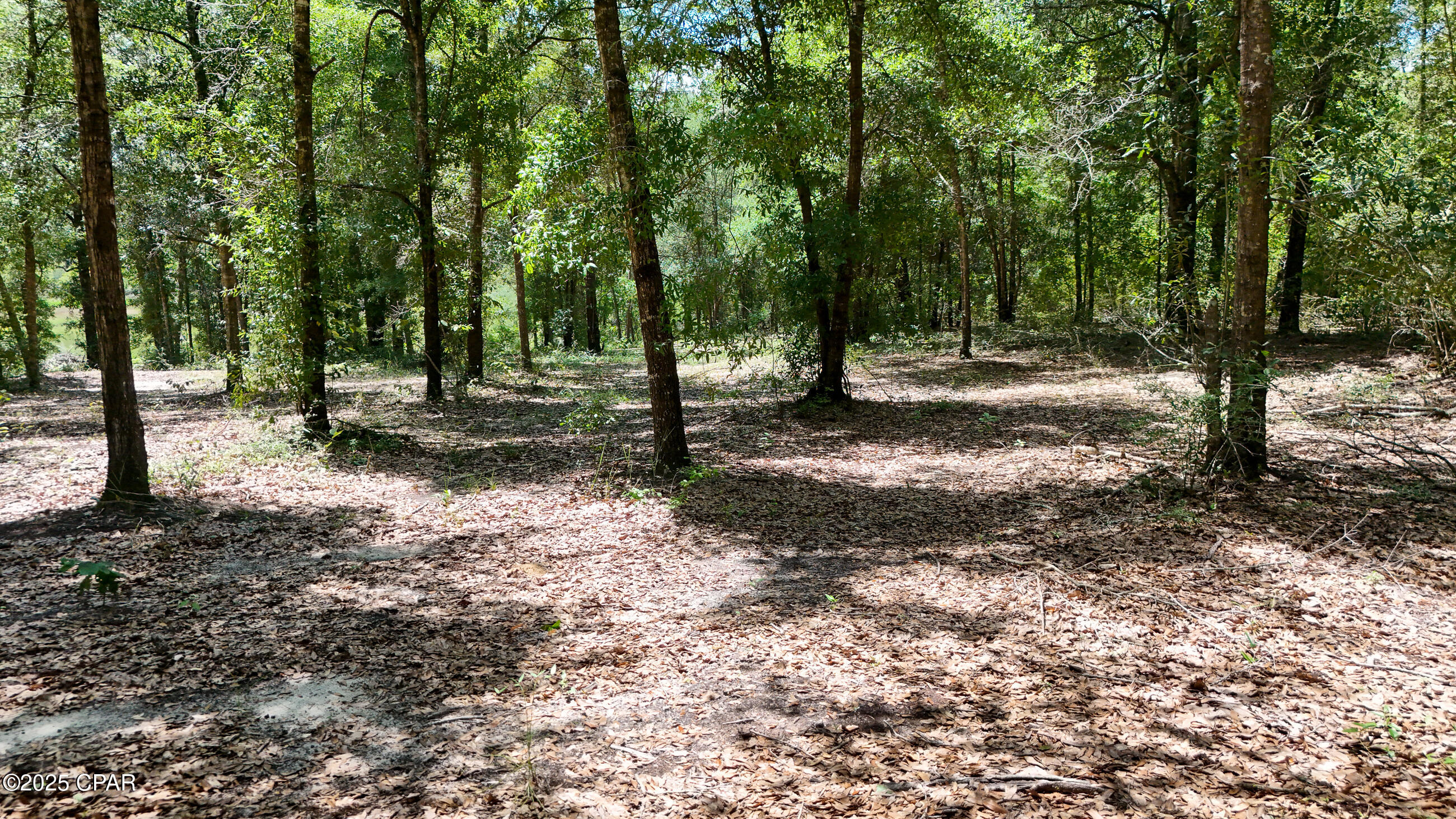 1371 Deadening Road Chipley, FL 32428 - Photo 53 of 78