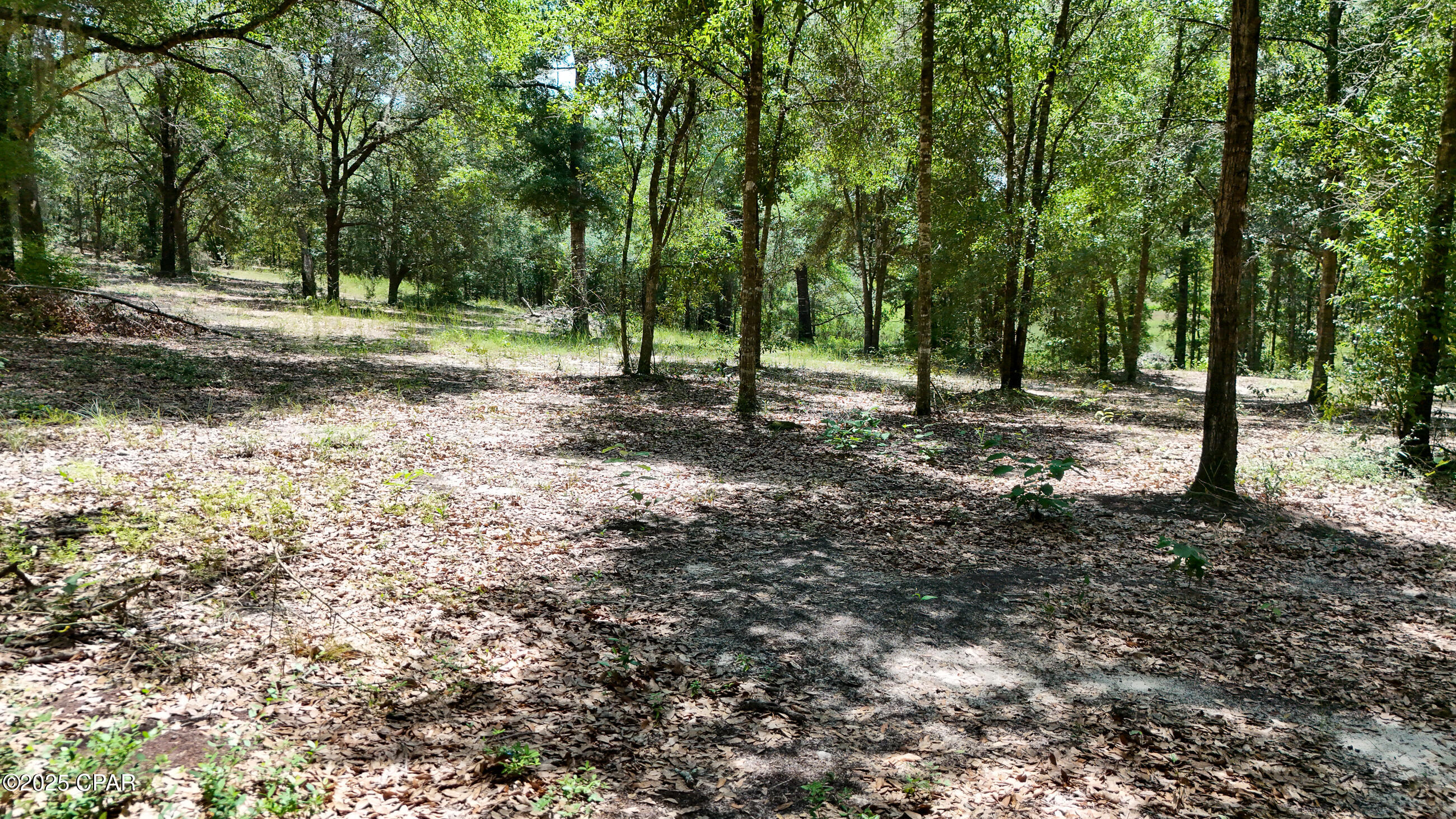 1371 Deadening Road Chipley, FL 32428 - Photo 54 of 78