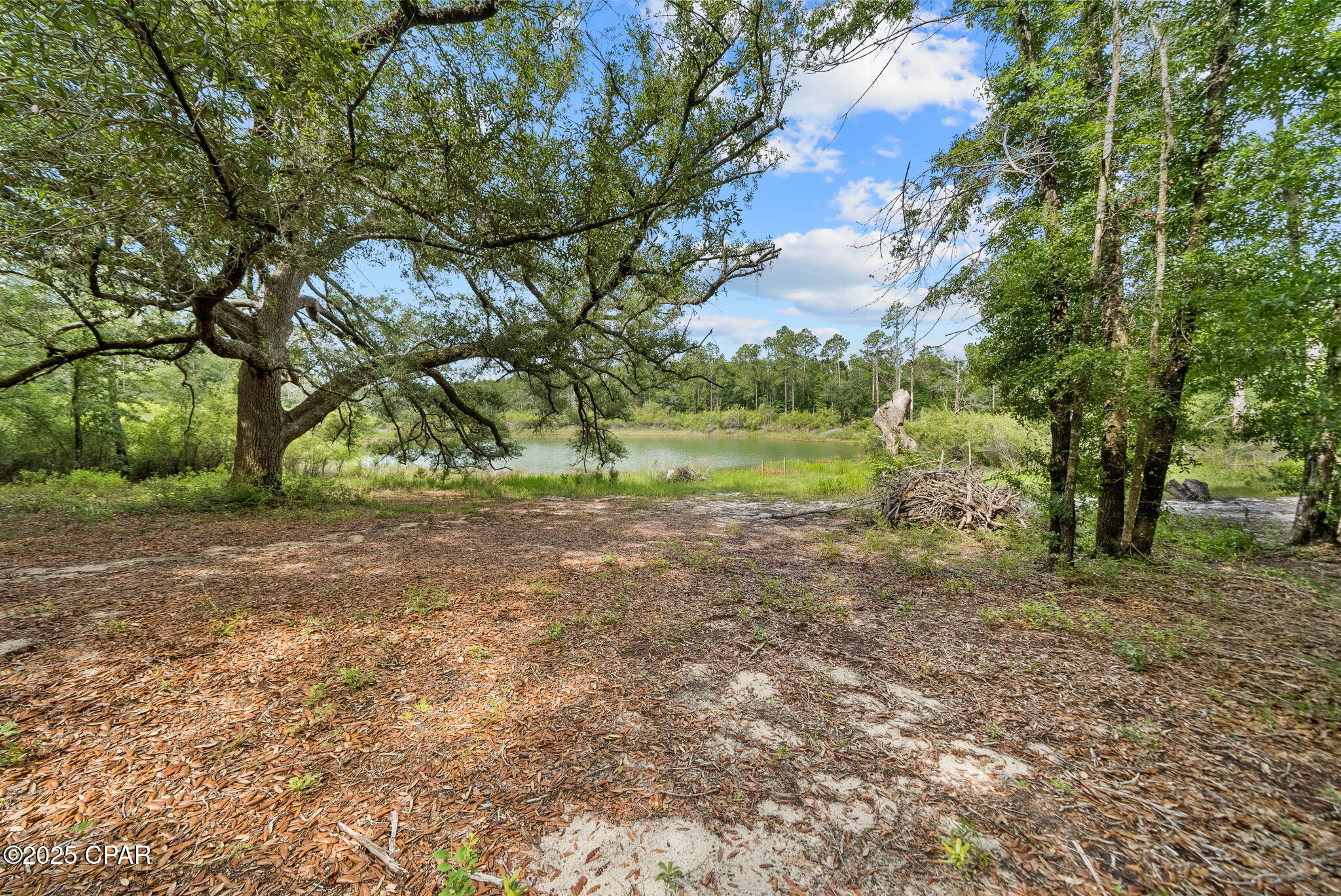 1371 Deadening Road Chipley, FL 32428 - Photo 7 of 78