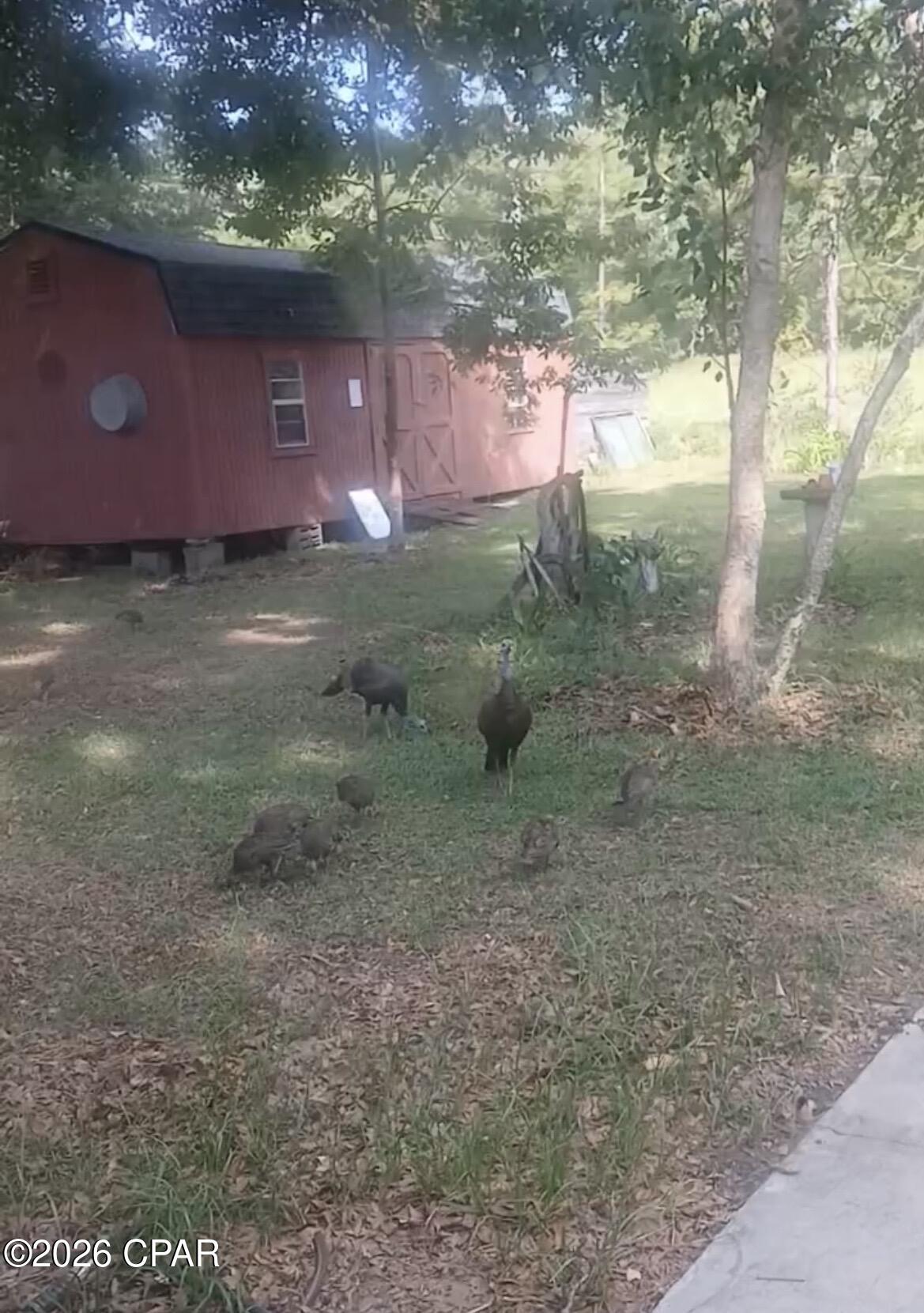 1371 Deadening Road Chipley, FL 32428 - Photo 78 of 78