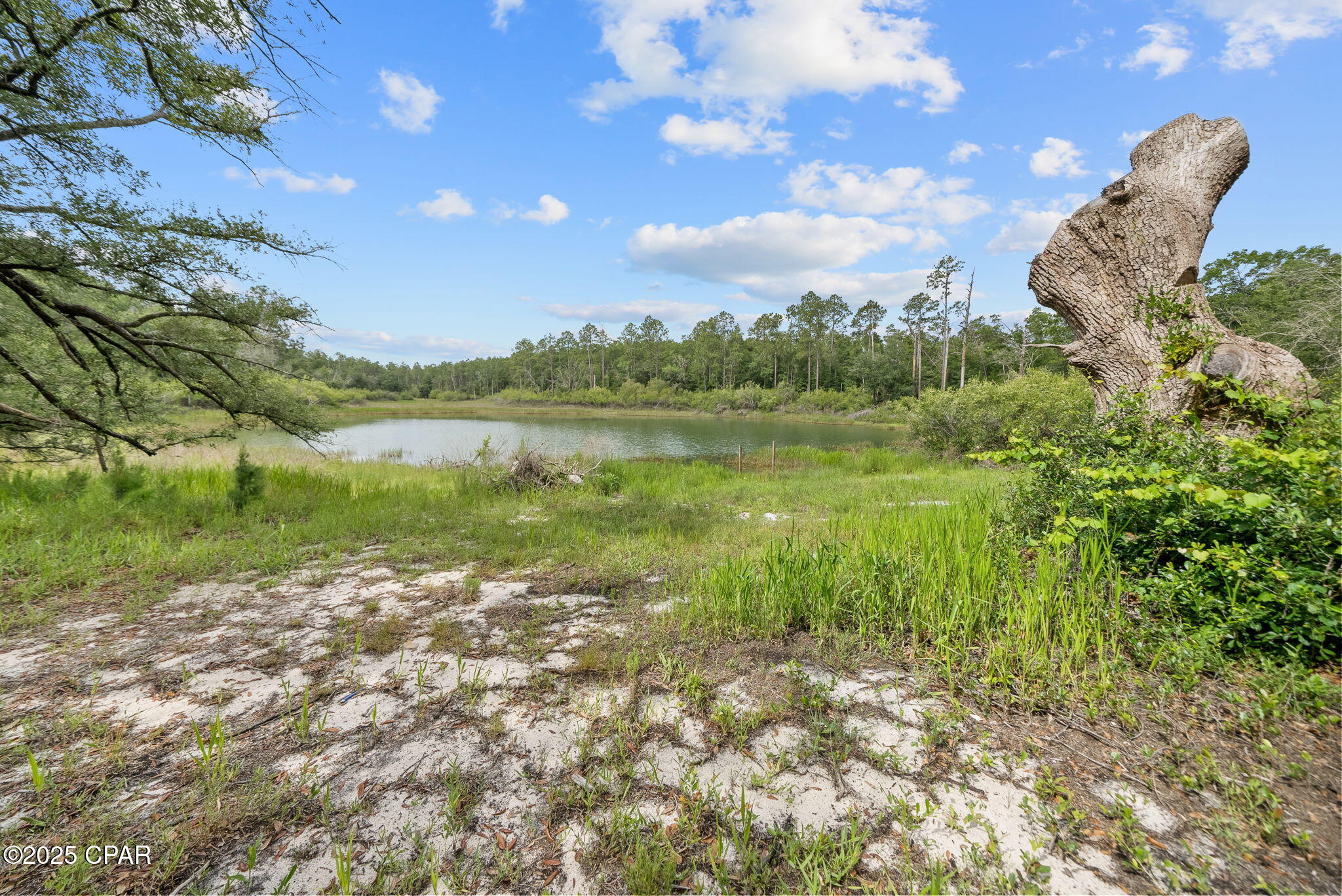 1371 Deadening Road Chipley, FL 32428 - Photo 8 of 78
