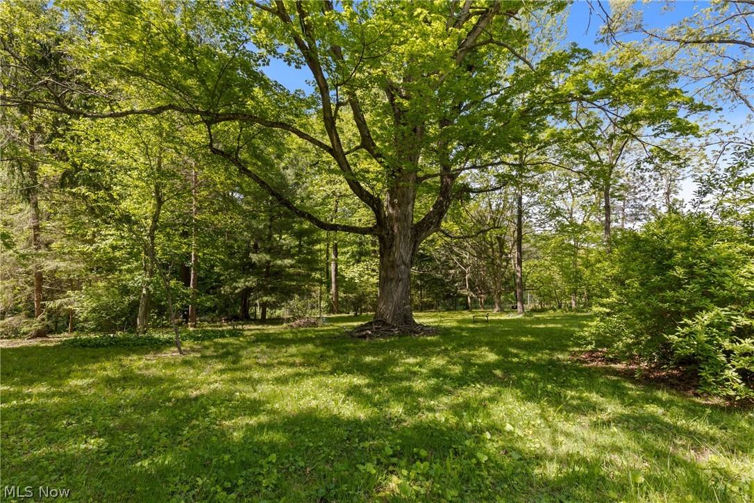 66700 Pancoast Road Belmont, OH 43718 - Photo 43 of 50