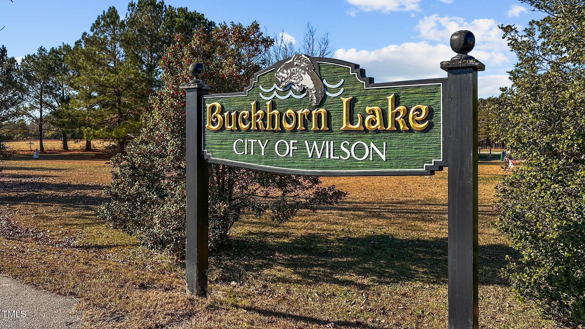 8676 Buckhorn Plantation Road Sims, NC 27880 - Photo 31 of 41 64-web-or-mls-IMG_7655