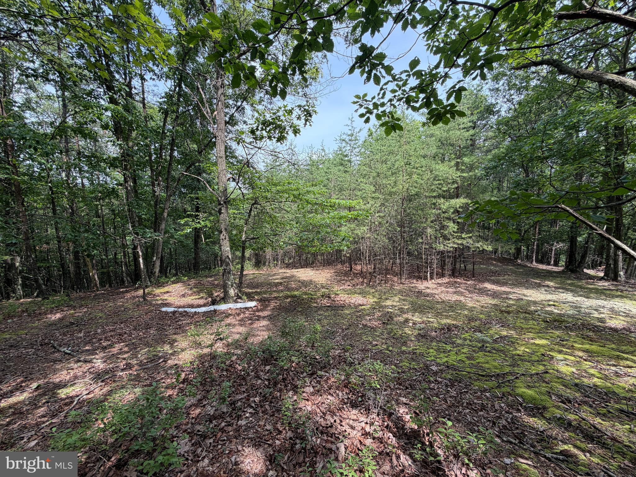 14 Shadow Knolls Springfield, WV 26763 - Photo 12 of 67