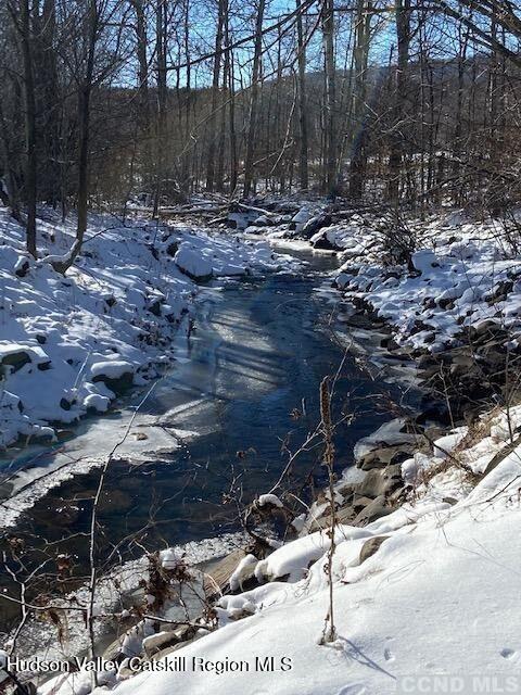 523 Mitchell Hollow Road Windham, NY 12496 - Photo 3 of 55 20250520191829612459000000-o