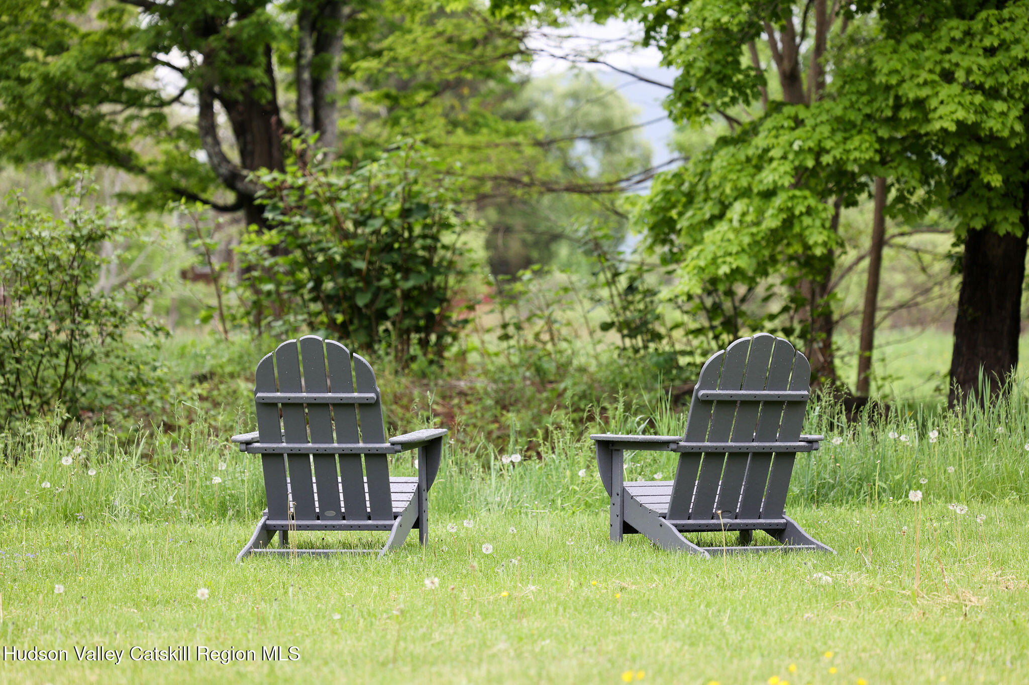 523 Mitchell Hollow Road Windham, NY 12496 - Photo 38 of 59 a view of outdoor space and deck