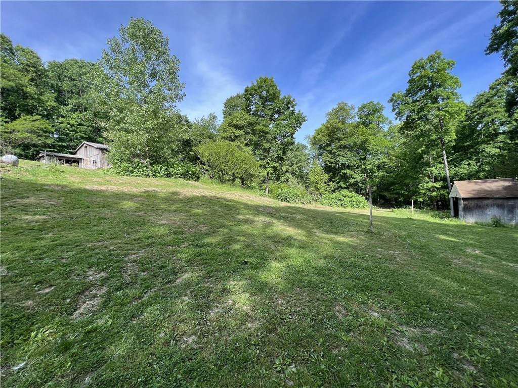 1149 School Road Apollo, PA 15613 - Photo 29 of 32 a view of a field with a tree in the background