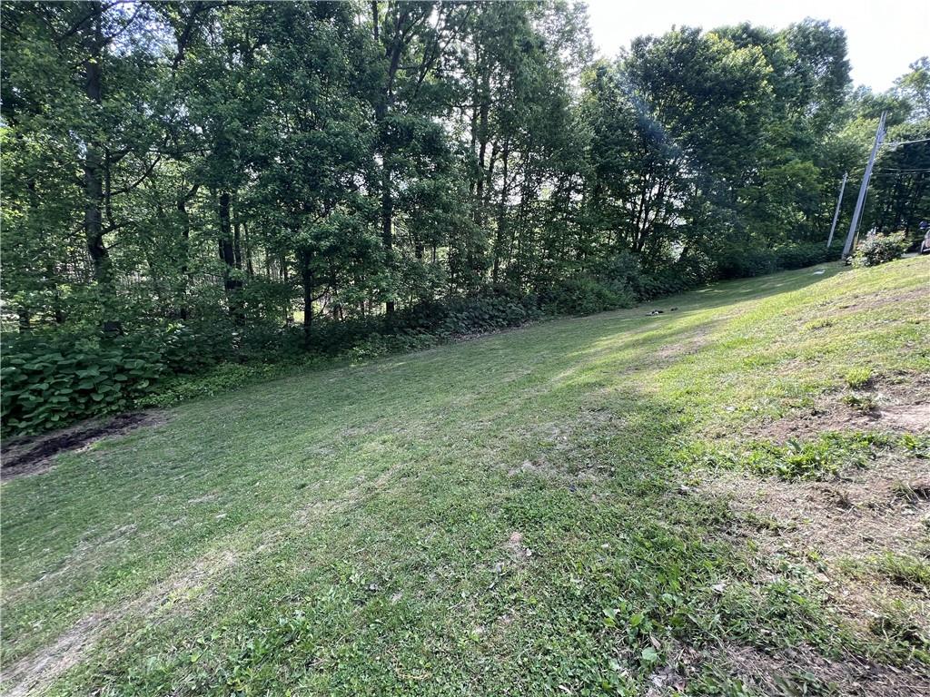 1149 School Road Apollo, PA 15613 - Photo 32 of 32 a view of a yard with a trees