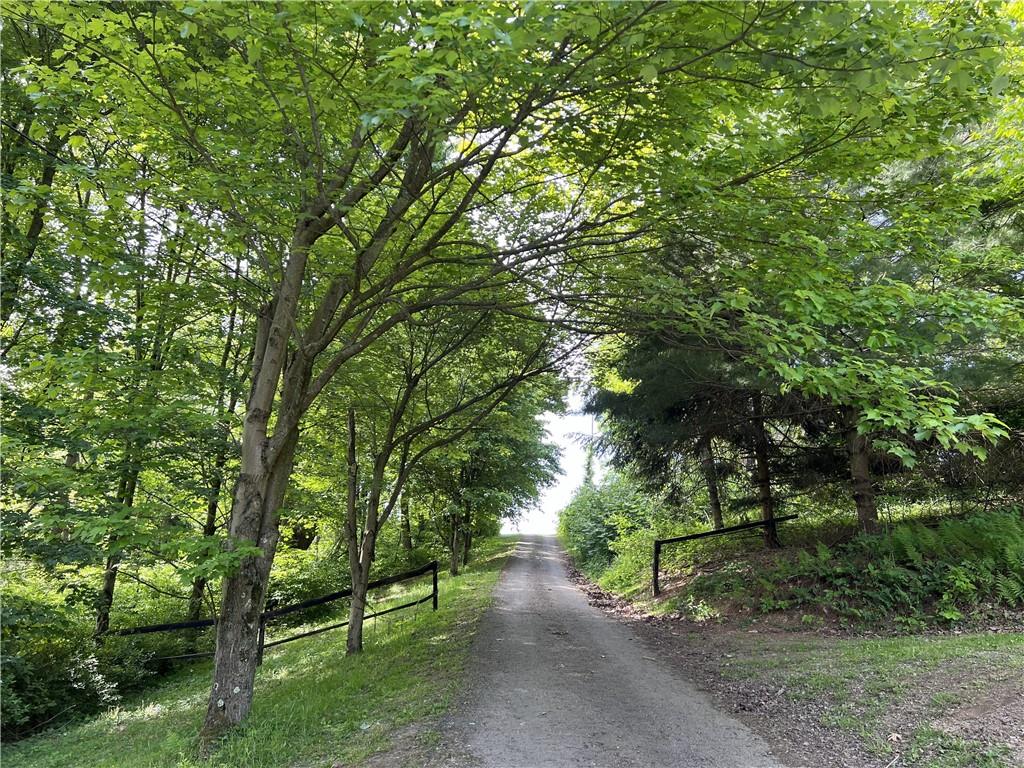1149 School Road Apollo, PA 15613 - Photo 8 of 32 a view of a street with a tree