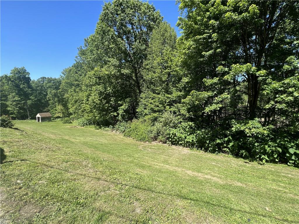 1149 School Road Apollo, PA 15613 - Photo 9 of 32 a view of a field with an trees