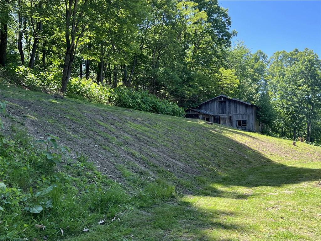 1149 School Road Apollo, PA 15613 - Photo 10 of 32 a swimming pool with trees in the background