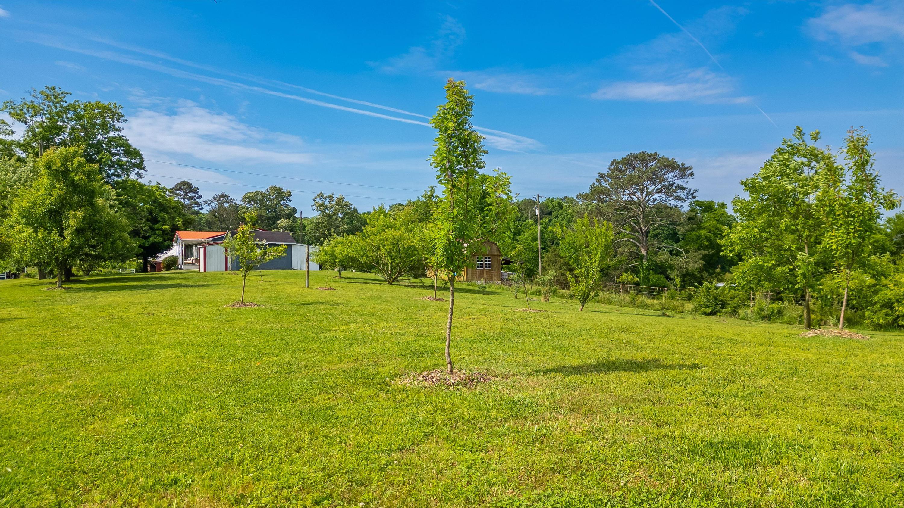 1334-1356 Johnson Road Southeast Cleveland, TN 37323 - Photo 31 of 45 Fruit Trees