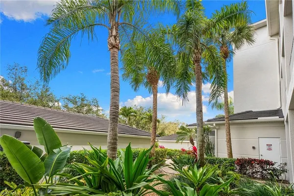 a view of a backyard with plants