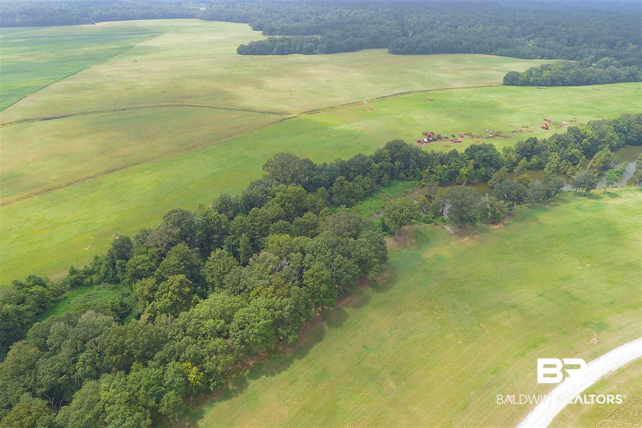 1 Jimmy Phillips Road Greensboro, AL 36744 - Photo 29 of 46