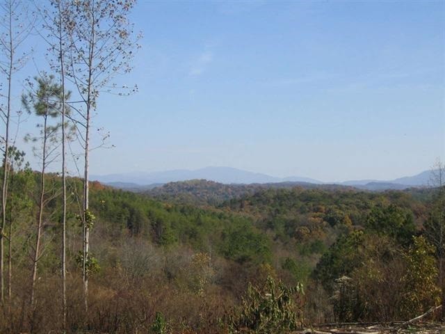 0 Citico Road Vonore, TN 37885 - Photo 5 of 16