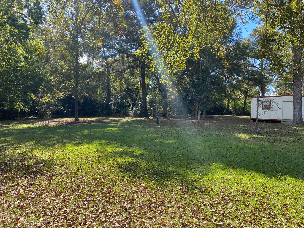 204 Lightfoot Road Abbeville, AL 36310 - Photo 14 of 14