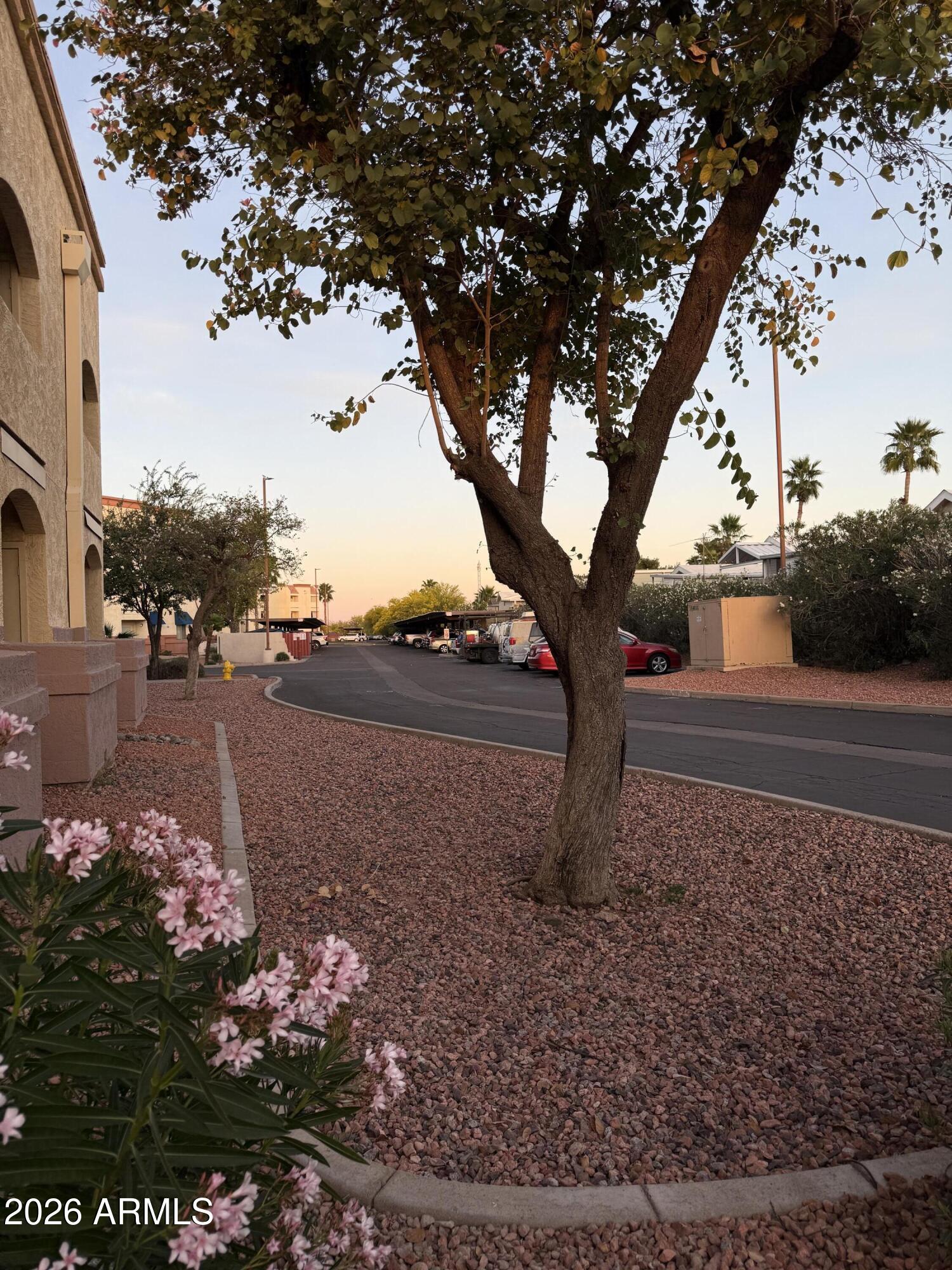 12221 West Bell Road, Unit 223 Surprise, AZ 85378 - Photo 21 of 25 IMG_7890