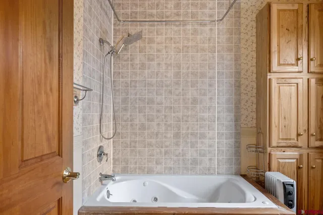 a bathroom with a bathtub and a shower