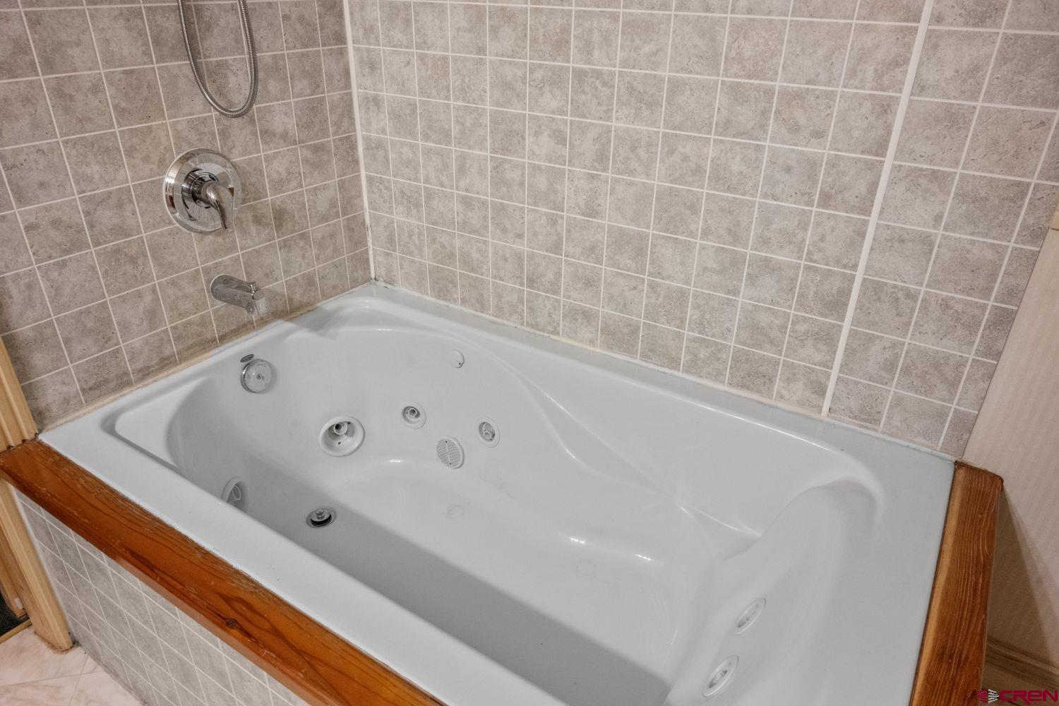 645 Emery Loop Fort Garland, CO 81133 - Photo 32 of 44 a bathroom with a bathtub