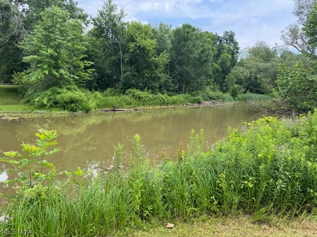 620 Ravenna Road Newton Falls, OH 44444 - Photo 22 of 23 river front access