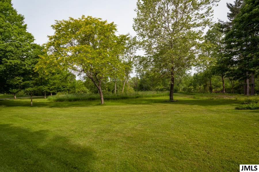 11011 Lansing Avenue Rives Junction, MI 49277 - Photo 30 of 36 Photo 30