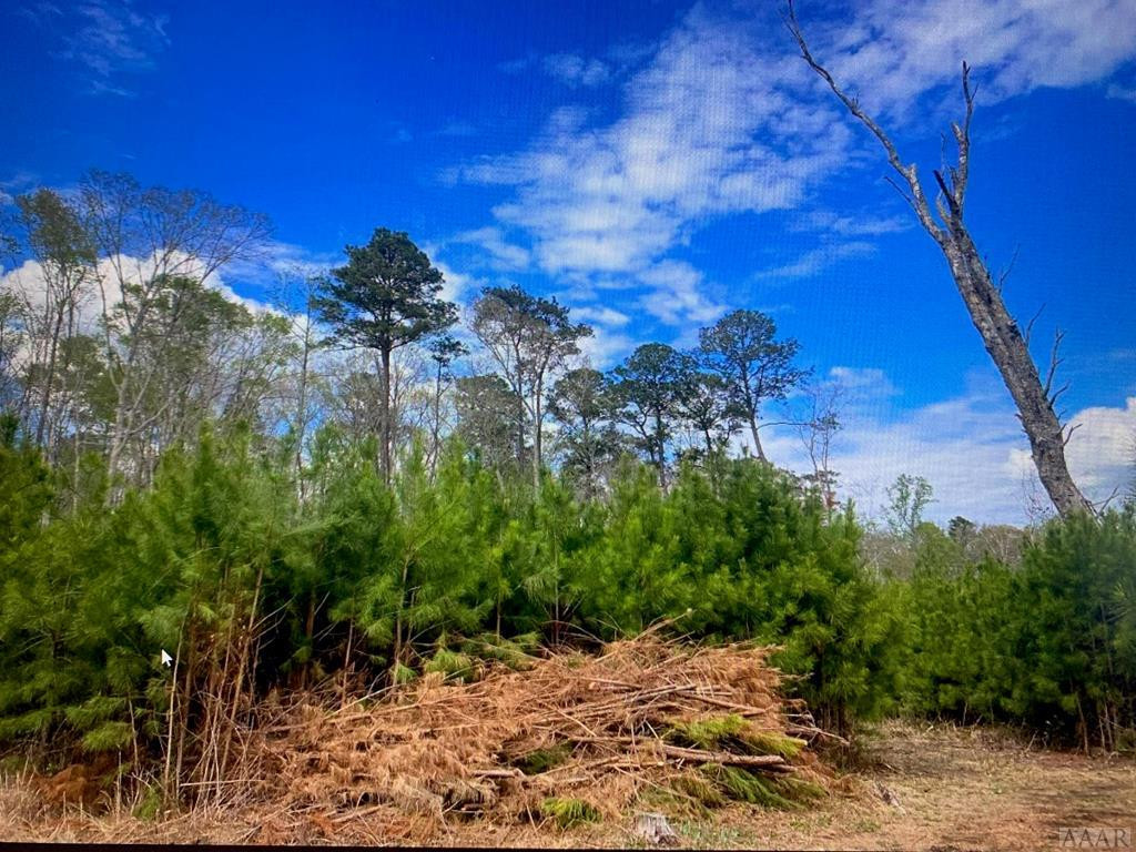 849 Silver Springs Road Sunbury, NC 27979 - Photo 1 of 6 Main View