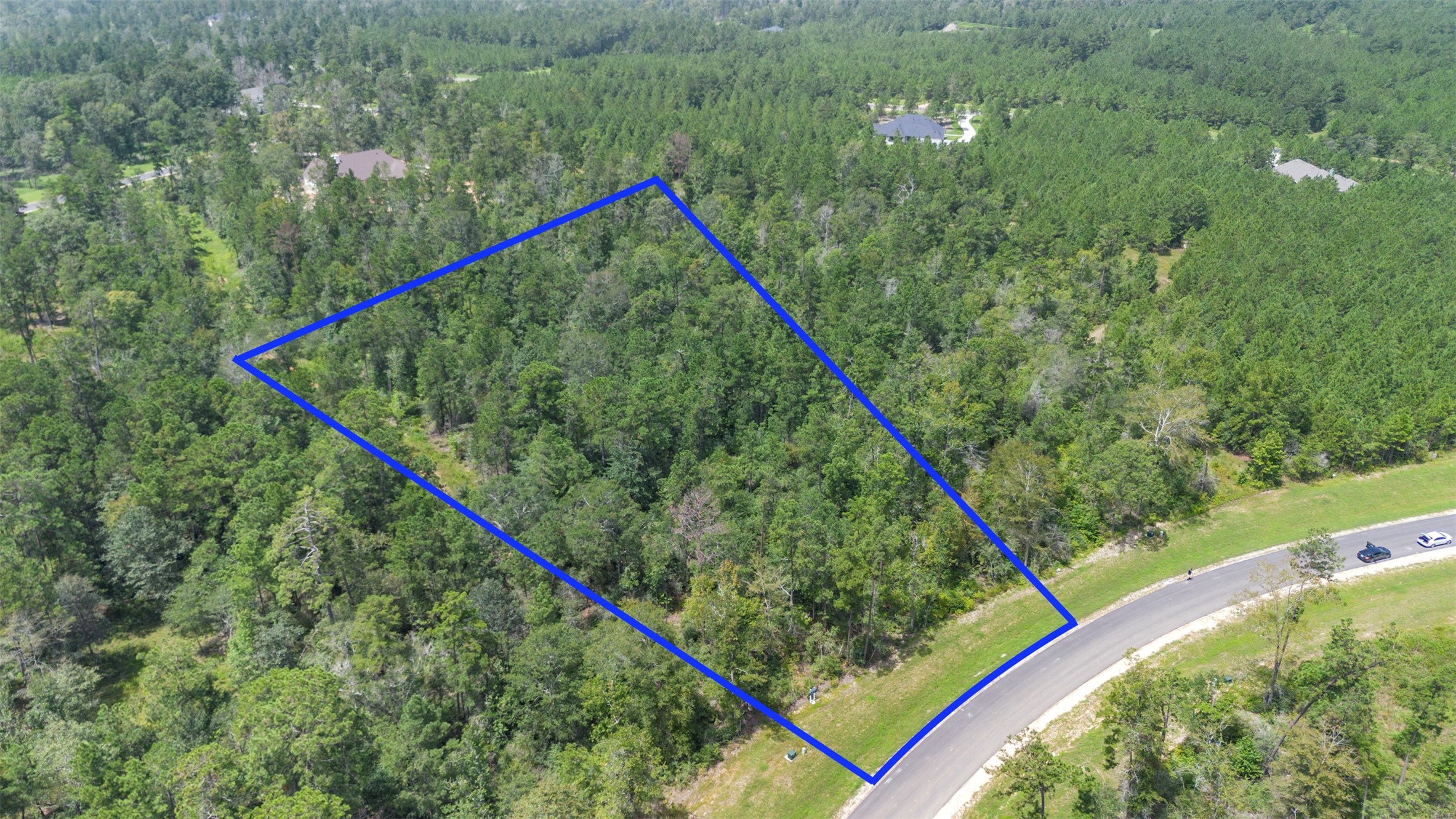 12056 High Br Way Willis, TX 77378 - Photo 13 of 15 a view of a small yard