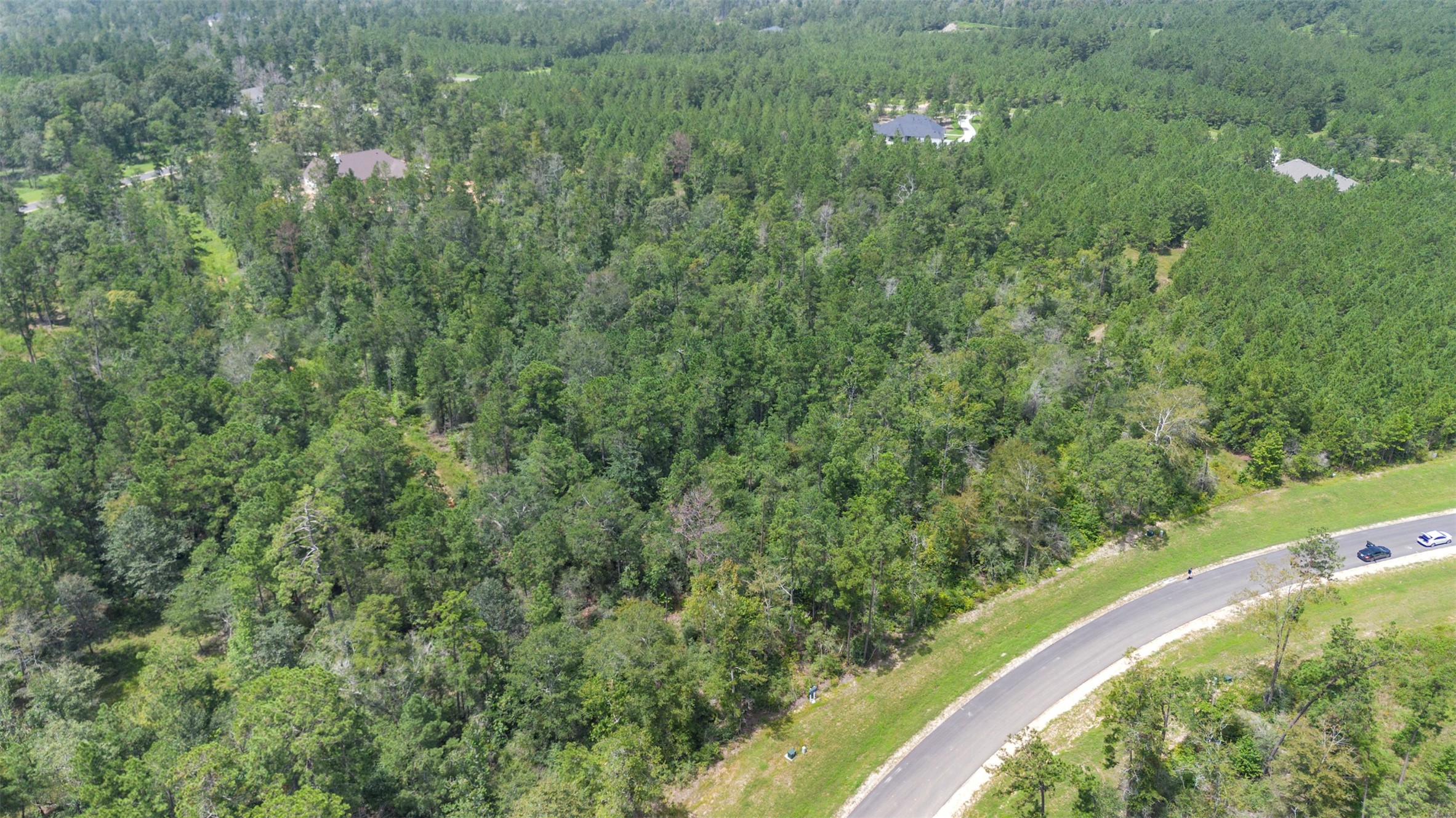 12056 High Br Way Willis, TX 77378 - Photo 14 of 15 a view of a lush green forest with trees and houses