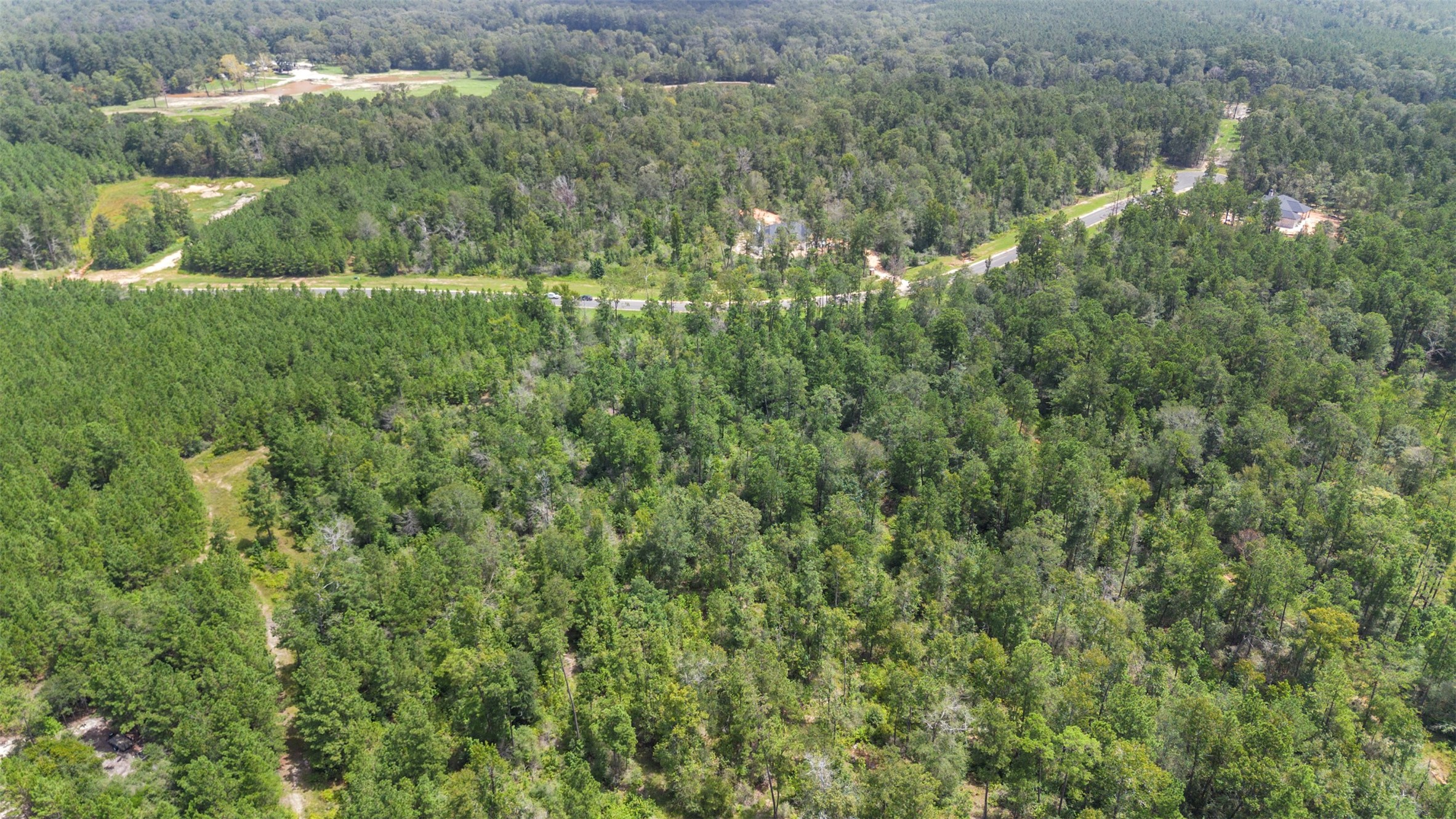 12056 High Br Way Willis, TX 77378 - Photo 15 of 15 a view of a yard