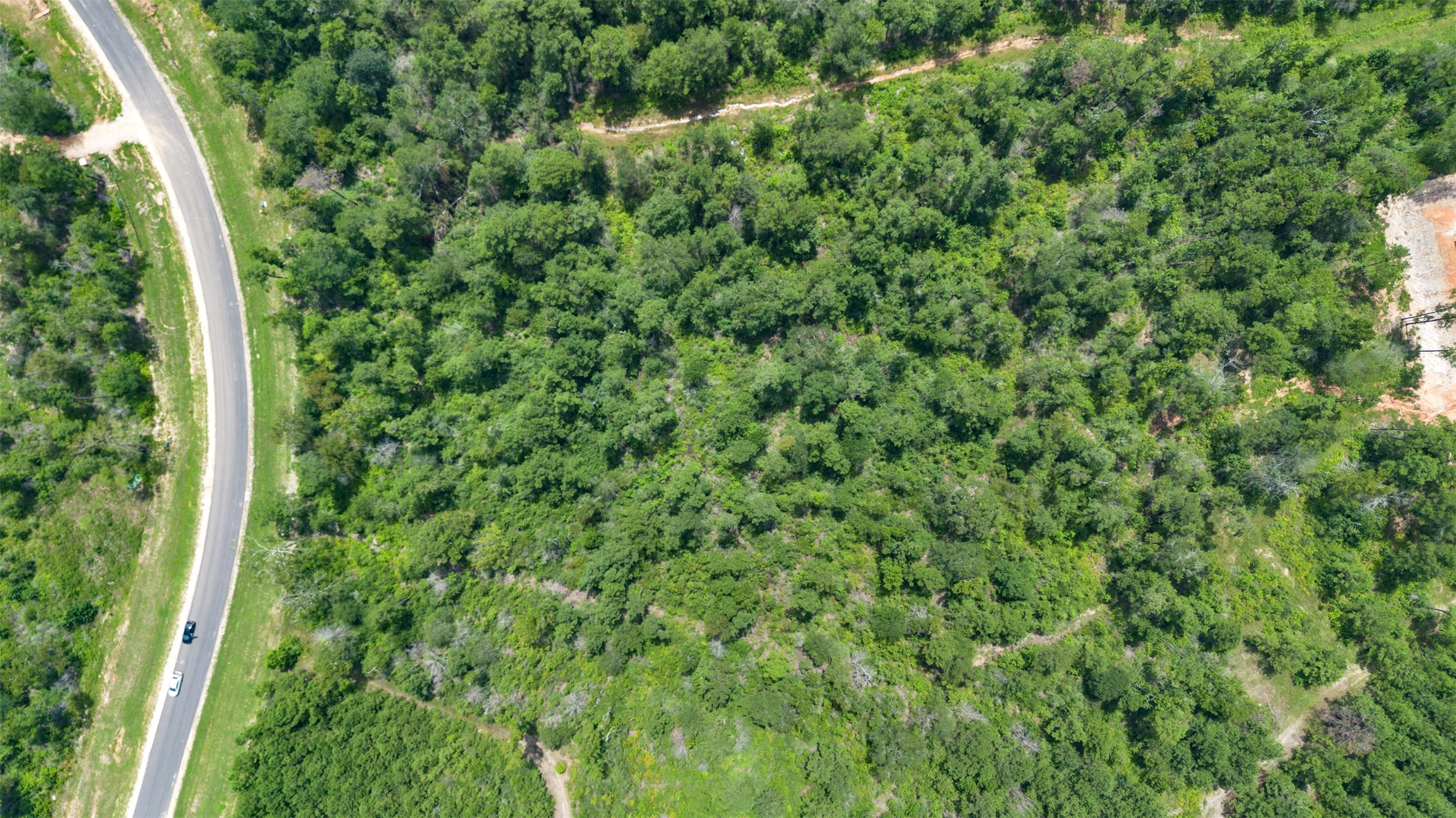 12056 High Br Way Willis, TX 77378 - Photo 5 of 15 a view of a lush green forest with large trees
