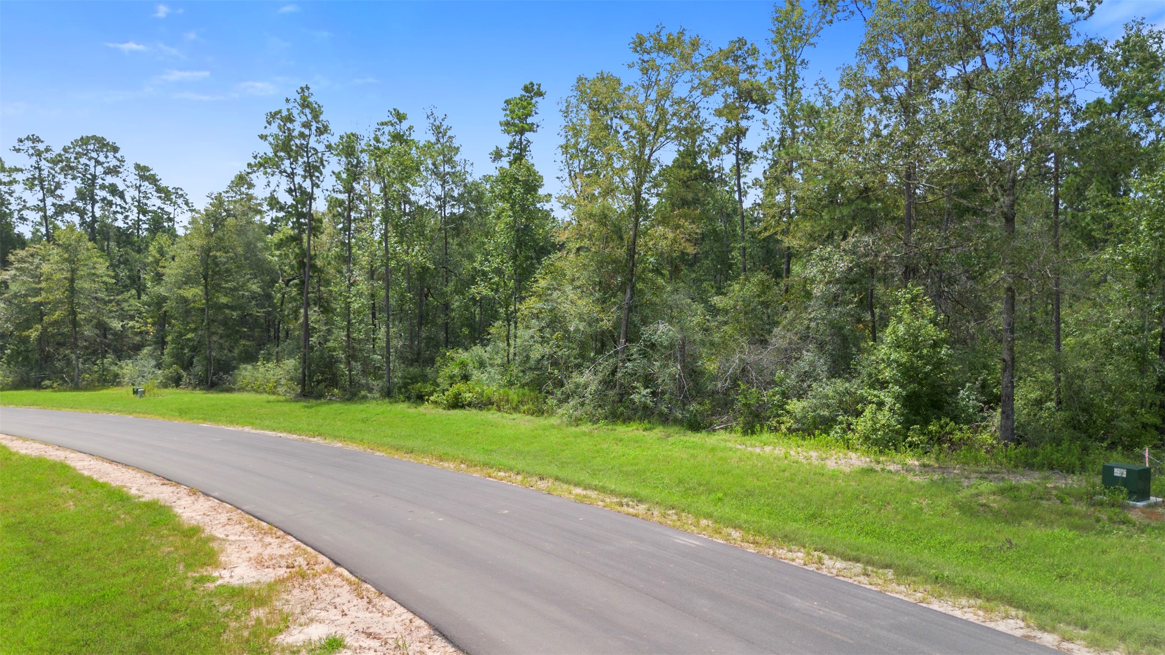 12056 High Br Way Willis, TX 77378 - Photo 7 of 15 a view of a park with large trees